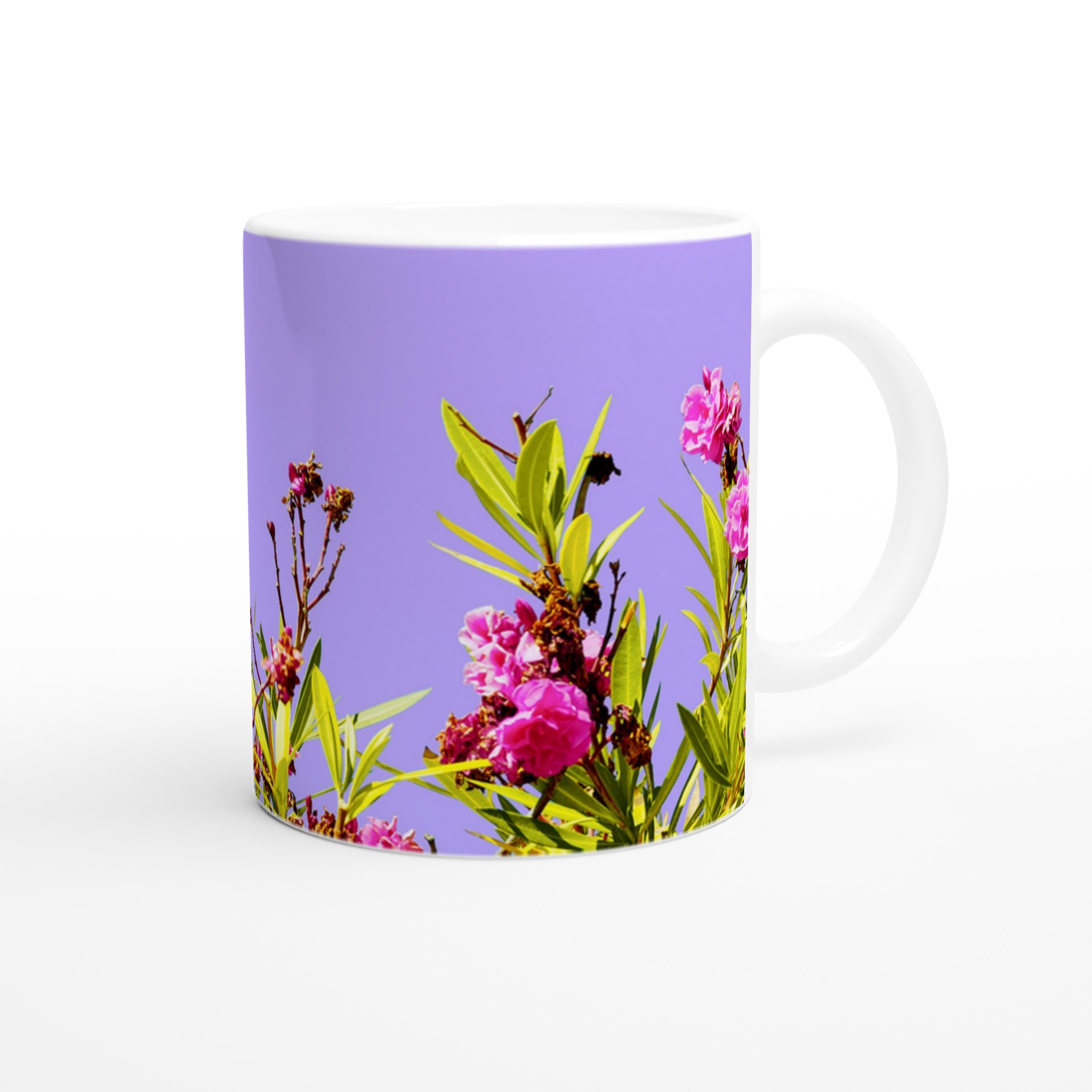 0258b9c4-b2ee-4c61-9ce0-bce193ffd3ea