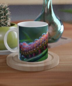 7c781c29-fbd1-4158-aab9-3a611b057f32