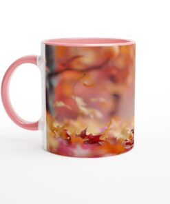 b502e00b-0b01-4326-9b01-8e0c32309704