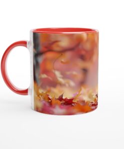 cf5766fa-aae5-4de7-b370-88f6c18f5271