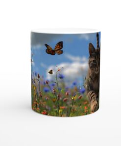 db3e5bb2-3ebb-489f-b19e-c9ebf3825dab