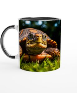 00ce1911-289f-42df-bcdb-e567f9604daf