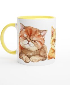 0558c033-ae97-4336-a970-50f4d93964bf