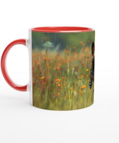 0d1a77e0-0c7b-4698-96d5-4be2226d8369