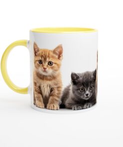 11485bf6-78e9-431a-9e90-7e0ea32131f3