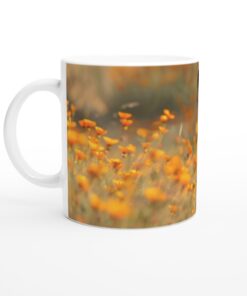 11bcd7ce-5e1f-4a10-9dff-3464b174dca4