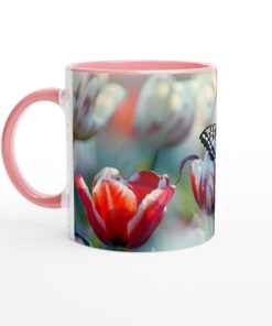 11e4f61e-9d49-43c9-8024-5f810fc85378