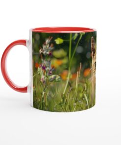 13d1108c-20bf-4b6a-9ce3-aaed6b515e57