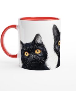 15e726bf-fe12-447a-97f6-e64e14a1d48c