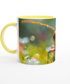 1932a118-daa8-45bf-b523-6c4db3951a14