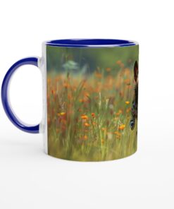 1ac6408f-2762-485b-aded-cb5a68a4d9dc