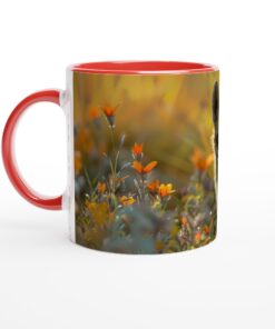 1b8d8339-082d-4946-a141-1af593e4c0a9