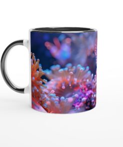 1bfabf2e-27c1-422f-b1a1-73470c9e24f0