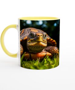 1c7ce53f-d99e-474e-8fa1-8ce38522d0f6