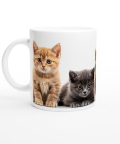 1d334705-5271-4da1-9784-b264c3dedaa3