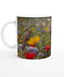 1db22757-4f76-44bc-b8cc-01b9ec5ee438