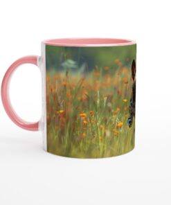 2428359f-4905-4bb0-abec-cf8399366d5b