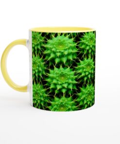 2484893f-8a75-4192-bd43-46cae24aa725