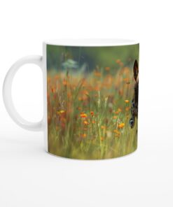 2aafc5d4-e988-4154-9cda-9b3f2263049e