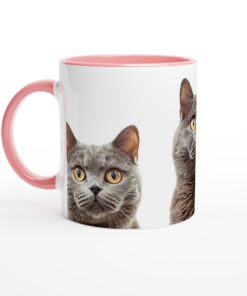 2d9bbc82-51ce-4027-b771-6c00fe858e56