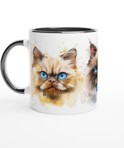 2f55e30d-88fe-4d34-8bfe-f19a8e5f8a29