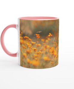 3356254e-18fb-41d8-976b-5b1755ef6b59