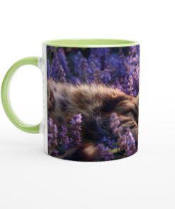 42331649-c3e1-475a-a518-0a7d9582cef2