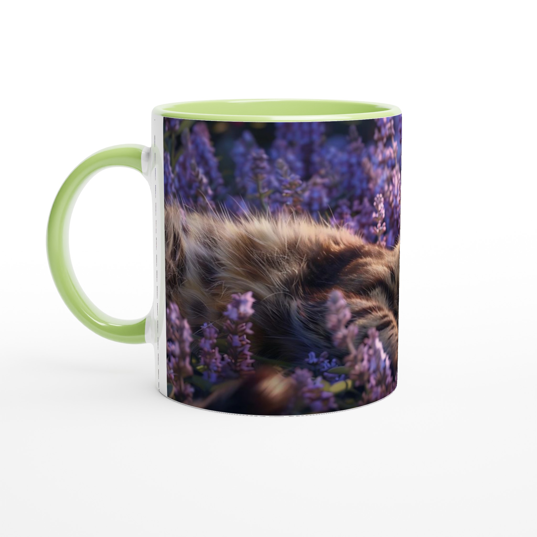 42331649-c3e1-475a-a518-0a7d9582cef2