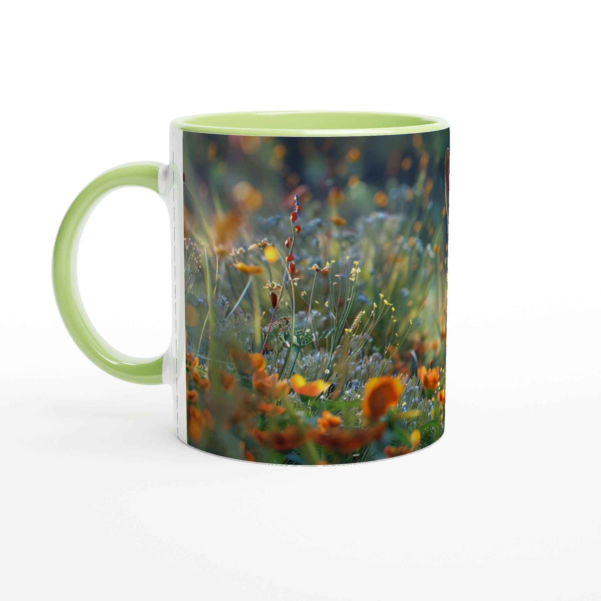 4366120f-5258-435a-8566-380dbb68b67c