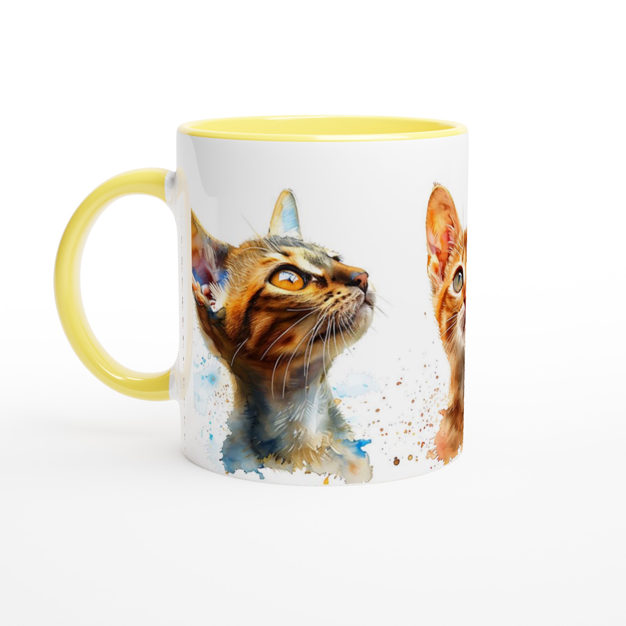 43a7915f-c8c6-4425-930b-099e062cdfb5.jpg 43a7915f-c8c6-4425-930b-099e062cdfb5