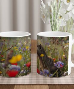 467bfb36-1e01-44c8-b676-33cb2cd74673