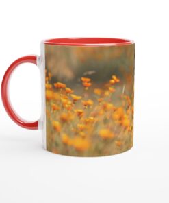 46d387bd-7581-473b-9570-add753b55a99