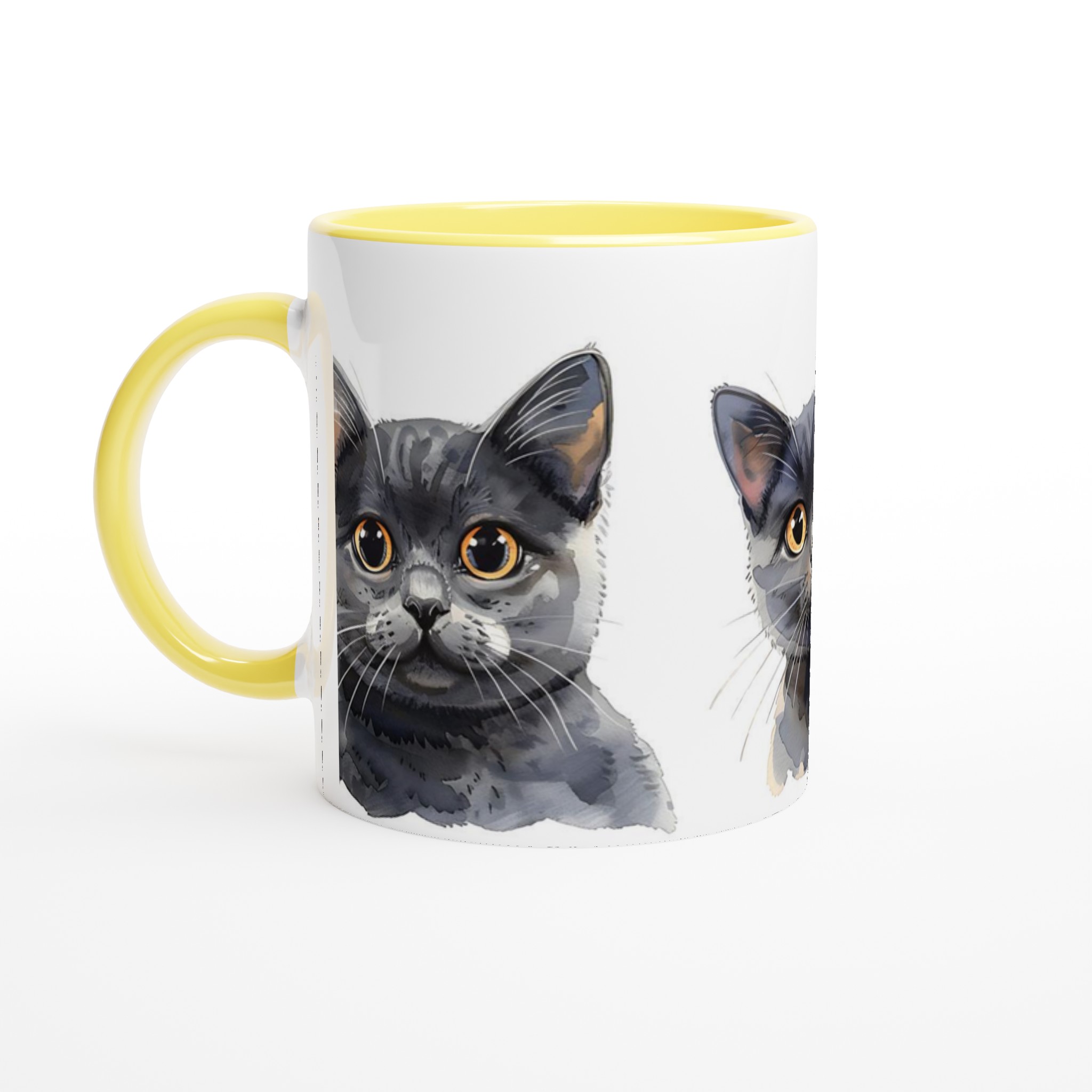 48441881-b294-4805-9038-261314b9cc61