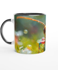 4eb3638a-d0e6-46cb-a103-5437ba84325d