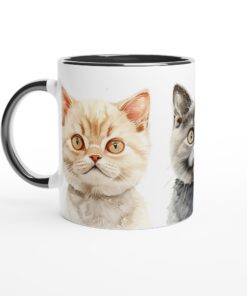 4ec27b85-ac2f-4231-9667-7c6015e6c45e