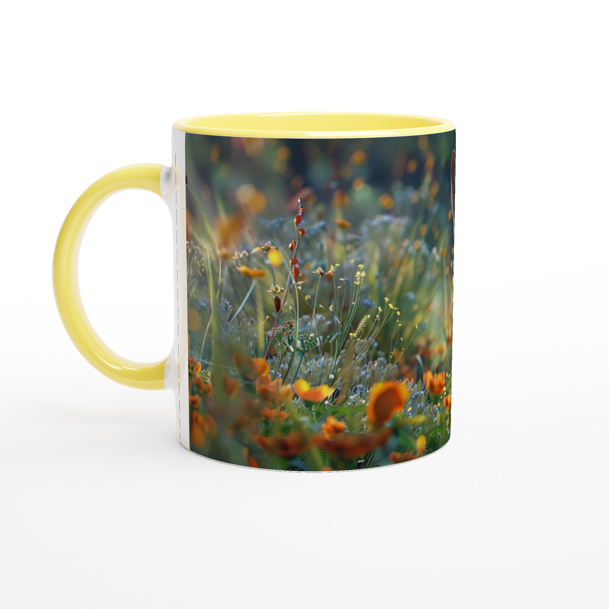 56585032-52c3-48a1-97b7-6963c58337c2