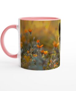 5e2d1474-bec6-4205-ba25-f599360daeba