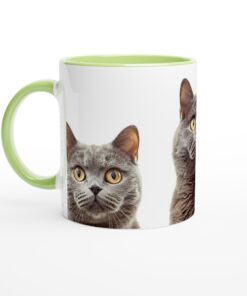 61608f08-b65a-4c91-a8ef-f97c381a624b