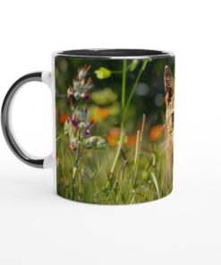 6a04a13b-3d90-4ad0-b326-31e1c46bba13