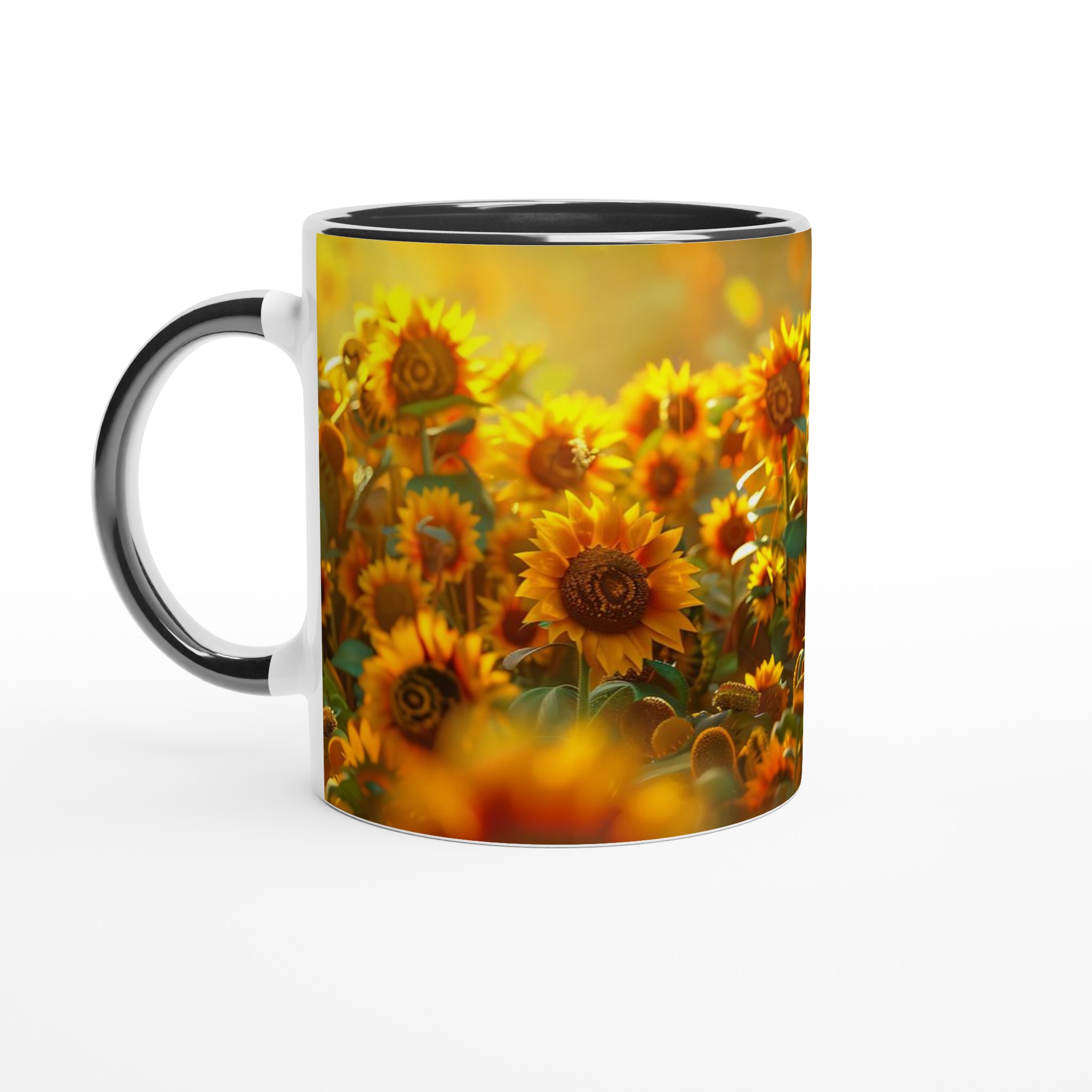 6d7607e1-68ea-422d-8104-3e646a9e489c