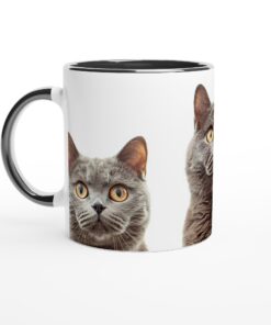 6dbd1a4c-f5db-499e-bf1b-5fd51ea6a234