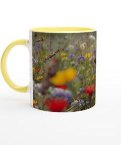 6e0720d4-99ef-4dec-be3c-90c737c4ce7f