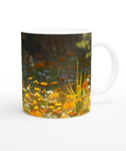 72e901ce-b86d-4f99-80c8-4f644d157609