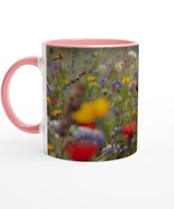 7522e715-725b-4065-8527-f25240043a5f