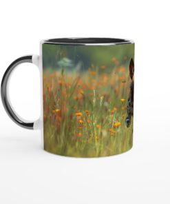 7d1f6550-61b6-470c-81e0-942d520254a3