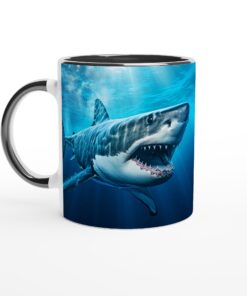 80687f39-c3ea-4992-8b95-3e658fb8b967