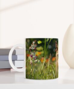 8d24f0ce-574d-4dc4-9537-12a99c8c4e99