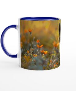 8ed38fb5-0c97-40c8-8b1f-e3ffac37d0e8