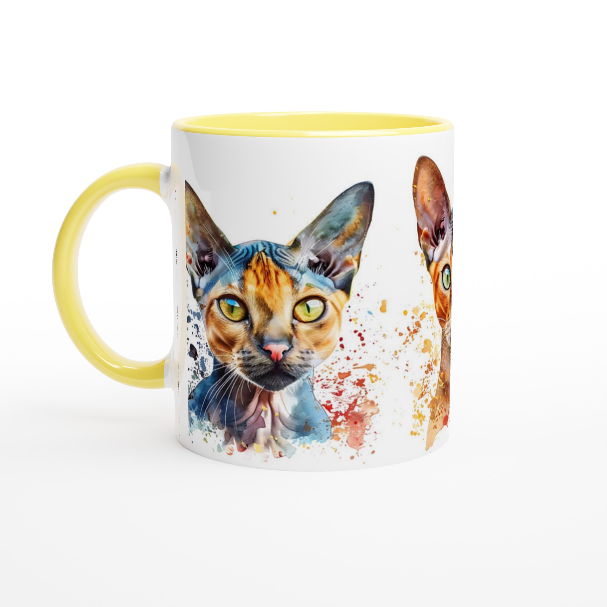 95d725d2-52de-4003-a98b-3e5d9809518d.jpg 95d725d2-52de-4003-a98b-3e5d9809518d