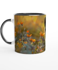 9a2a6845-73a2-47b8-8646-f76748e90357